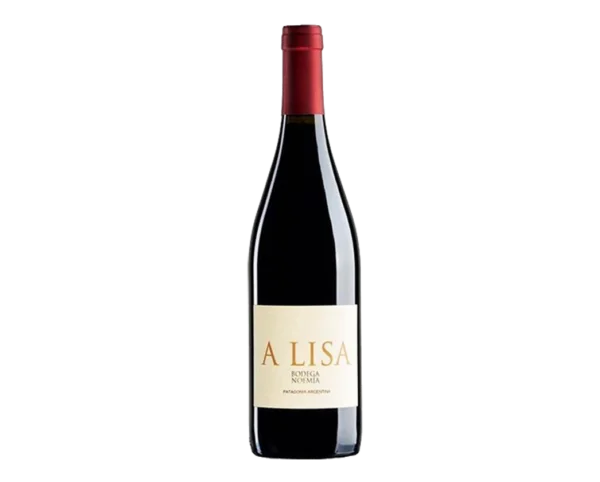 A Lisa bodega Noemia vino tinto a domicilio